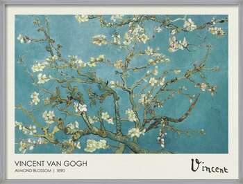 Αφίσα Αμυγδαλόλουλουδα