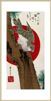 Αφίσα The Hawk & The Red Sun