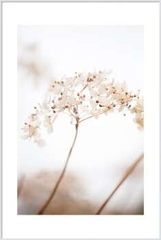 Αφίσα Soft dried flower_brown