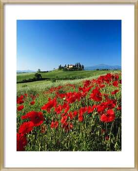 Αφίσα Italy, Tuscany, Val d'Orcia, farmhouse on