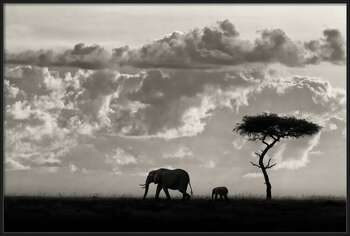 Αφίσα Silhouettes of Mara