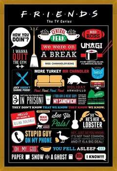 Πλαισιωμένη αφίσα FRIENDS - infographic
